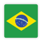 Brazil Flag Life QI